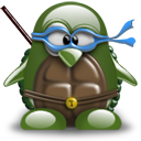 Penguin pingouin pinguino 11